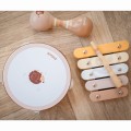 VIGA PolarB Zestaw Instrumentów Muzycznych Z Jeżykiem