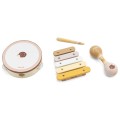 VIGA PolarB Zestaw Instrumentów Muzycznych Z Jeżykiem
